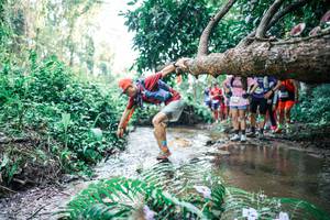 BIB: 
                            <button type="button" onclick="openModal(25465524)" class="btn btn-primary btn-sm float-right btn-popup" data-toggle="modal" data-target=".modal-high-quality">
                        <i class="fas fa-shopping-cart"></i> Add to Cart
                    </button>
                                            <button type="button" onclick="isThisMe(25465524, true)" class="btn btn-success btn-sm float-right btn-popup btn-isme hidden" data-toggle="tooltip" data-placement="bottom" title="นี่คือรูปของคุณใช่ไหม คลิกที่นี่เพื่อเอาเข้าอัลบั้ม">
                        <i class="fas fa-plus"></i> Add to album
                    </button>
                    <button type="button" onclick="isThisMe(25465524, false)" class="btn btn-warning btn-sm float-right btn-popup btn-isnotme hidden">
                        <i class="fas fa-ban"></i> Remove from album
                    </button>